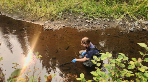 A woman in hip waders crouches in a stream with a sensor wand and handheld panel.