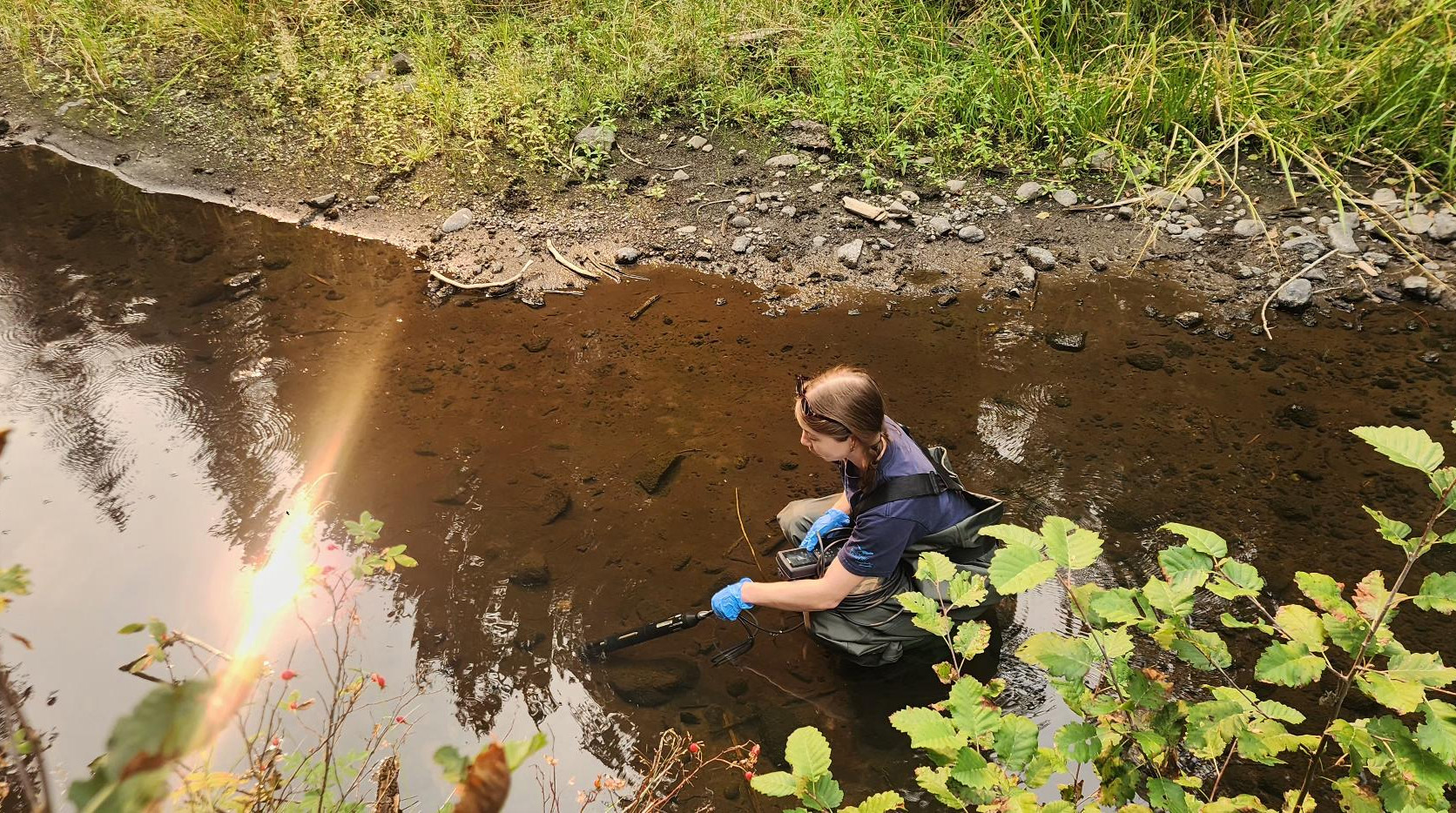 A woman in hip waders crouches in a stream with a sensor wand and handheld panel.